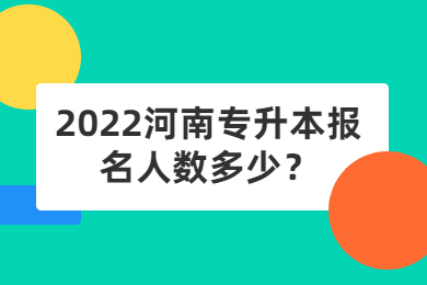 2022河南專升本報名人數多少？